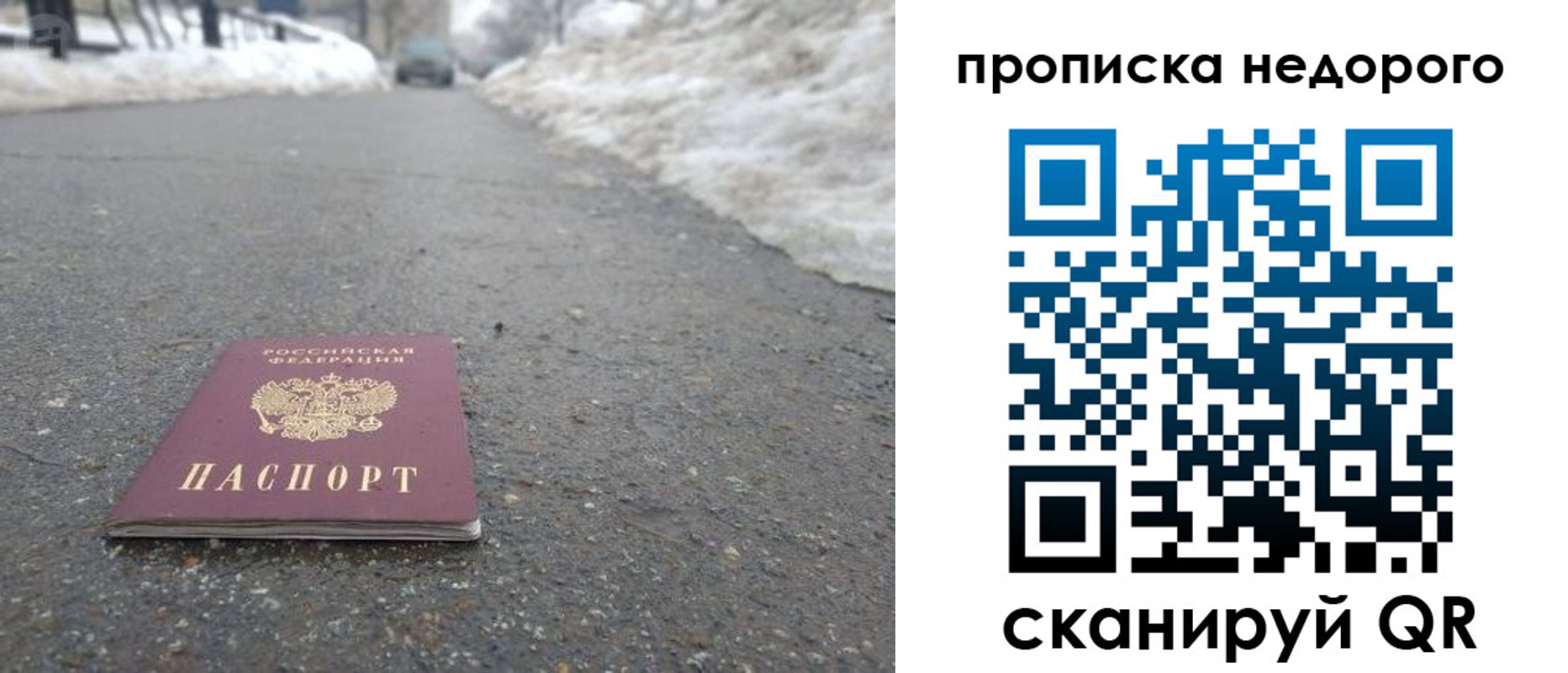 прописка в Гвардейске